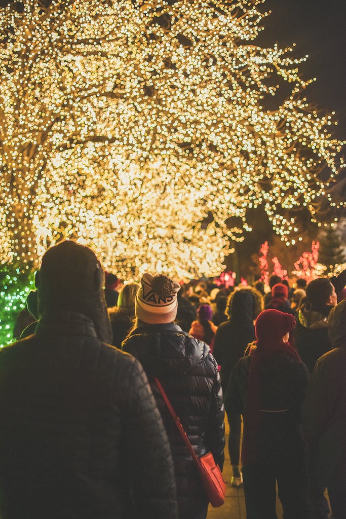 Person Walks Outdoor during Night