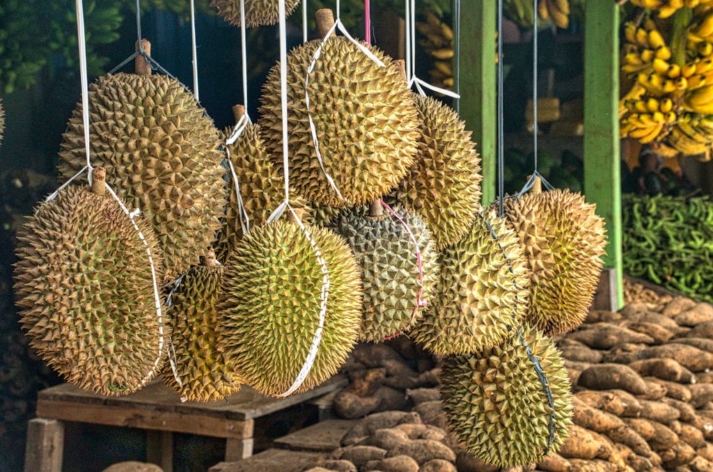 Green and Brown Round Fruits