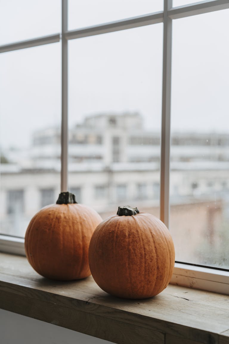 Two pumpkins on a windowsill with an urban view, highlighting autumn indoors.
