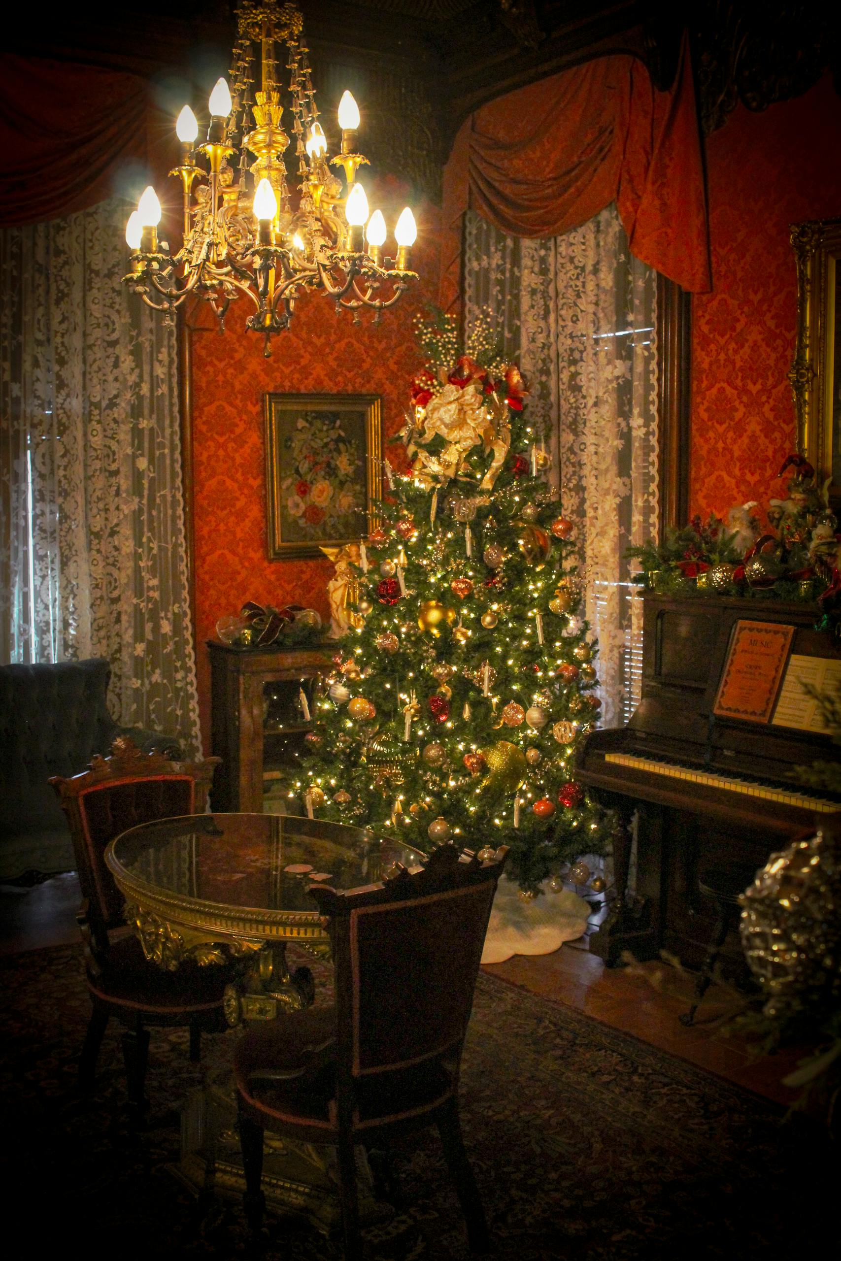 Reitz tree